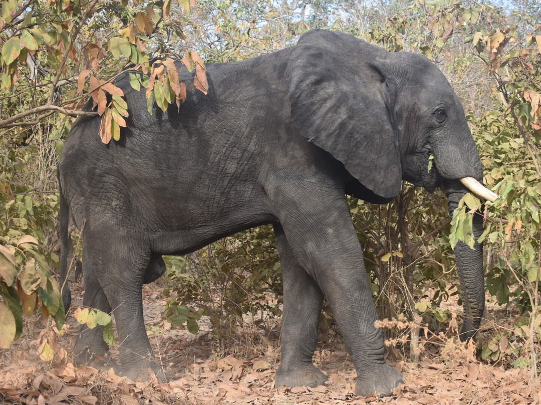 Nyasi Adventure-Dar es Salaam必去景点