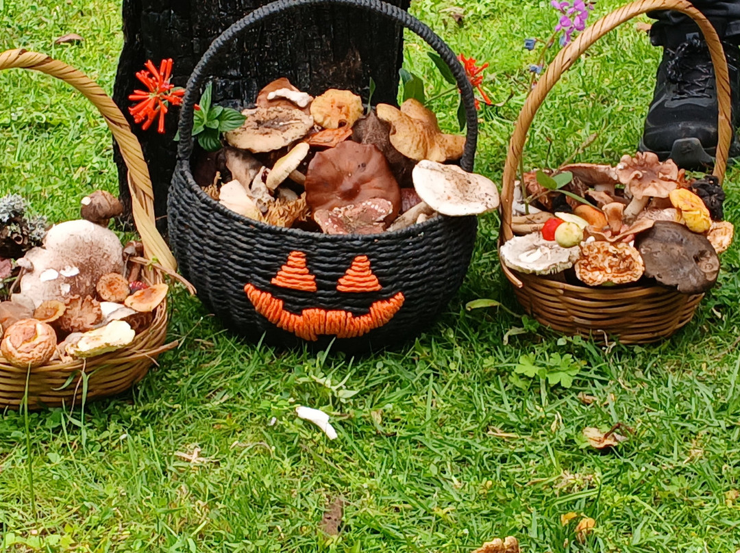 Funset Experience-Amecameca必去景点