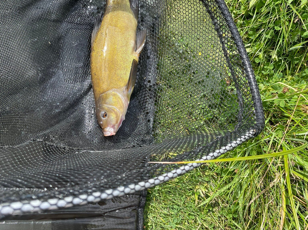 Foxholes Lake-Tansley必去景点