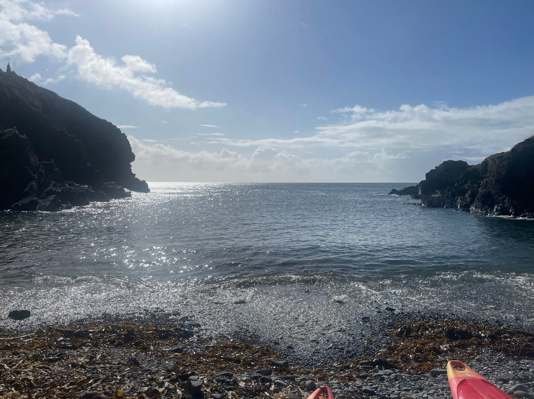 Lizard Adventure-Lizard必去景点