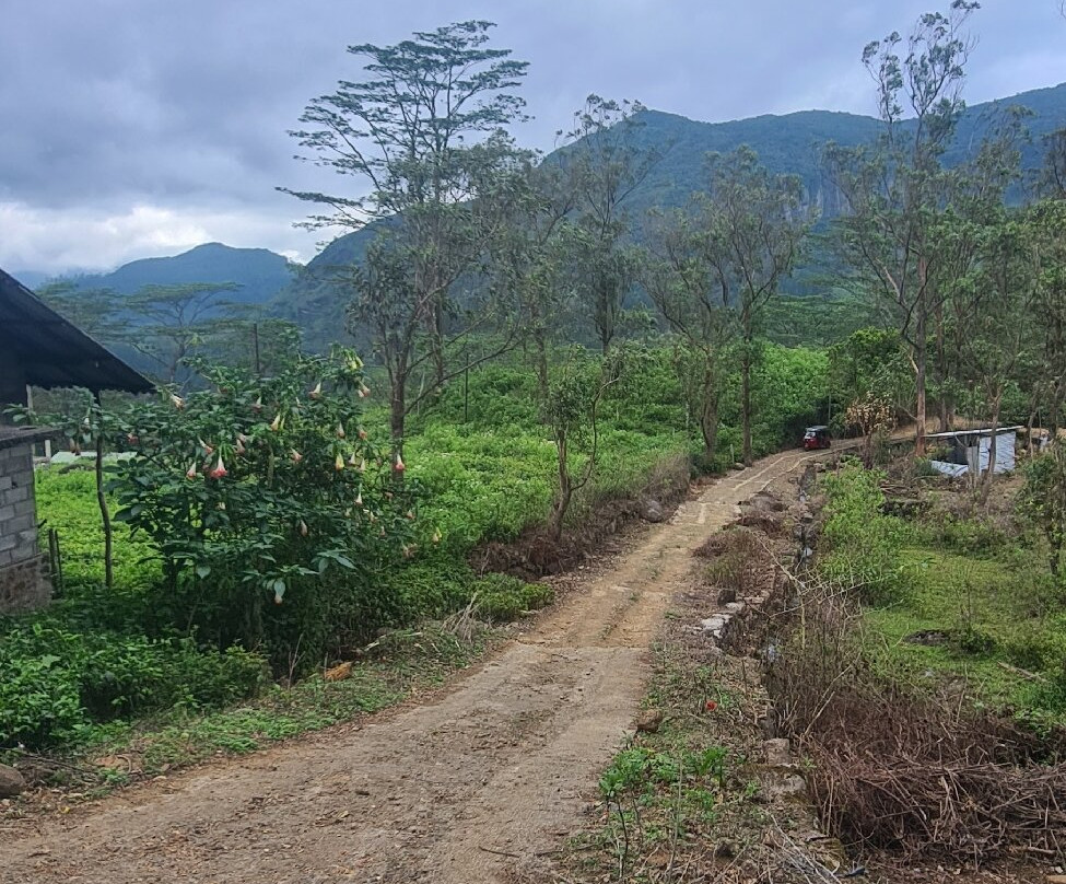 Sri Lanka Trekking-康提必去景点