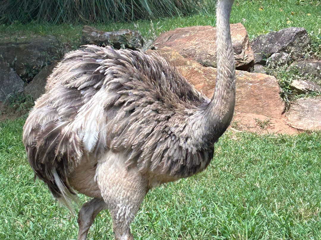 Greenville Zoo-格林维尔必去景点