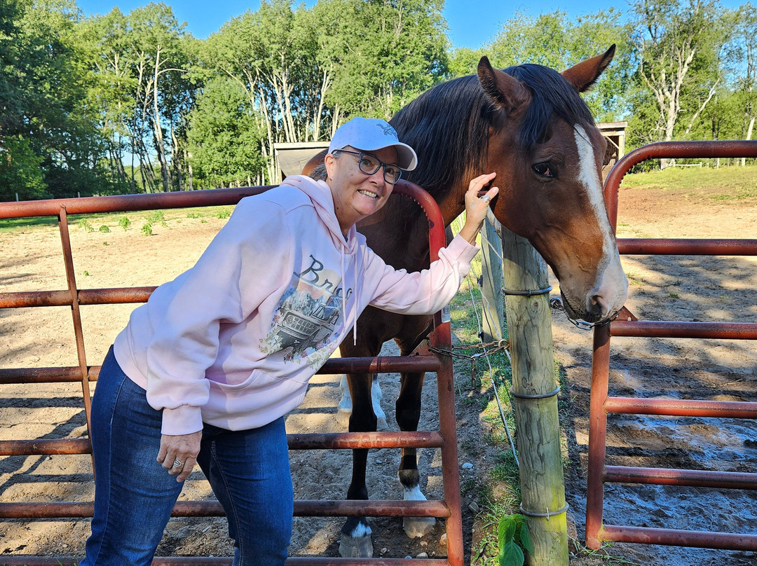 Outback Lodge and Stables主图