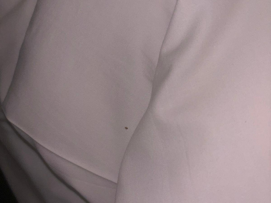 Travelodge London Stratford主图