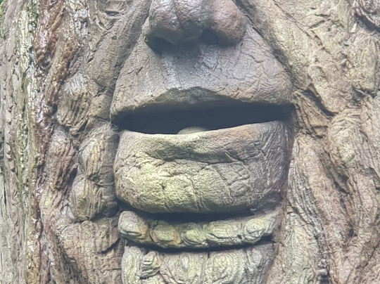 King Arthur's Labyrinth-Corris必去景点