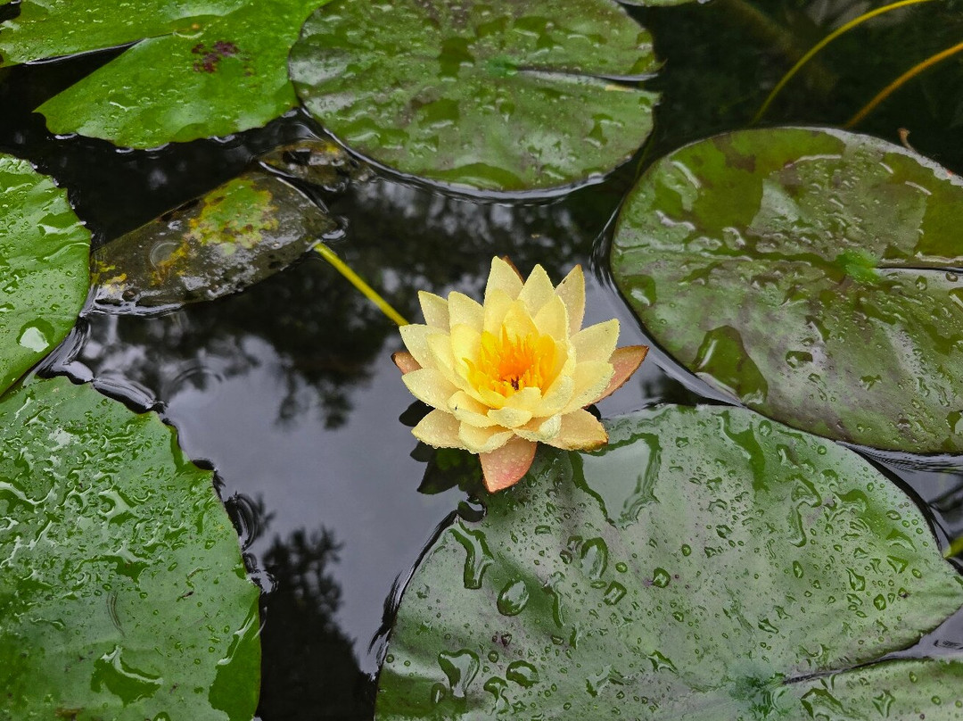 Jardines Secretos-San Gerardo De Rivas必去景点