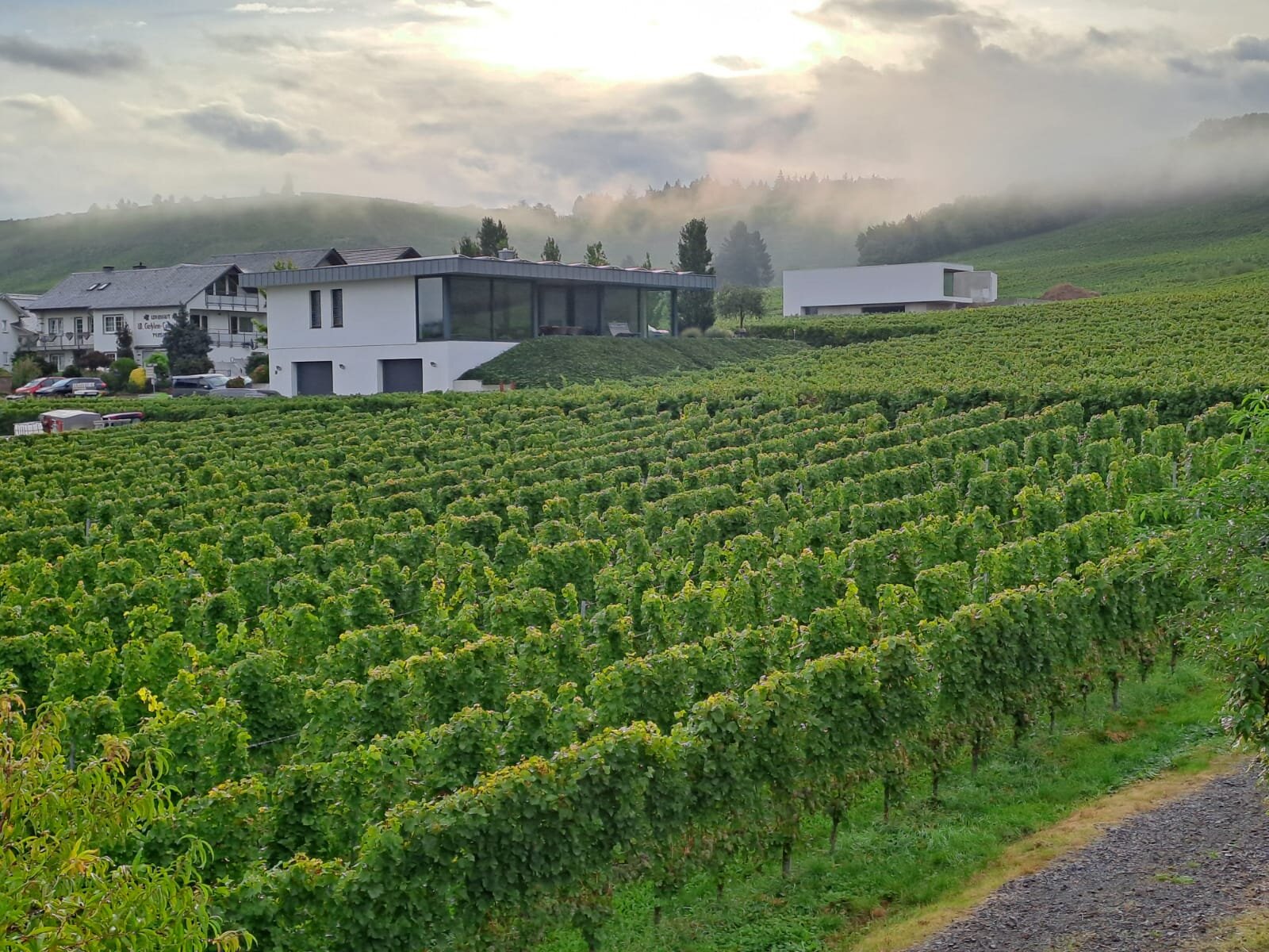 Weingut-Pension Tiliahof-客卧