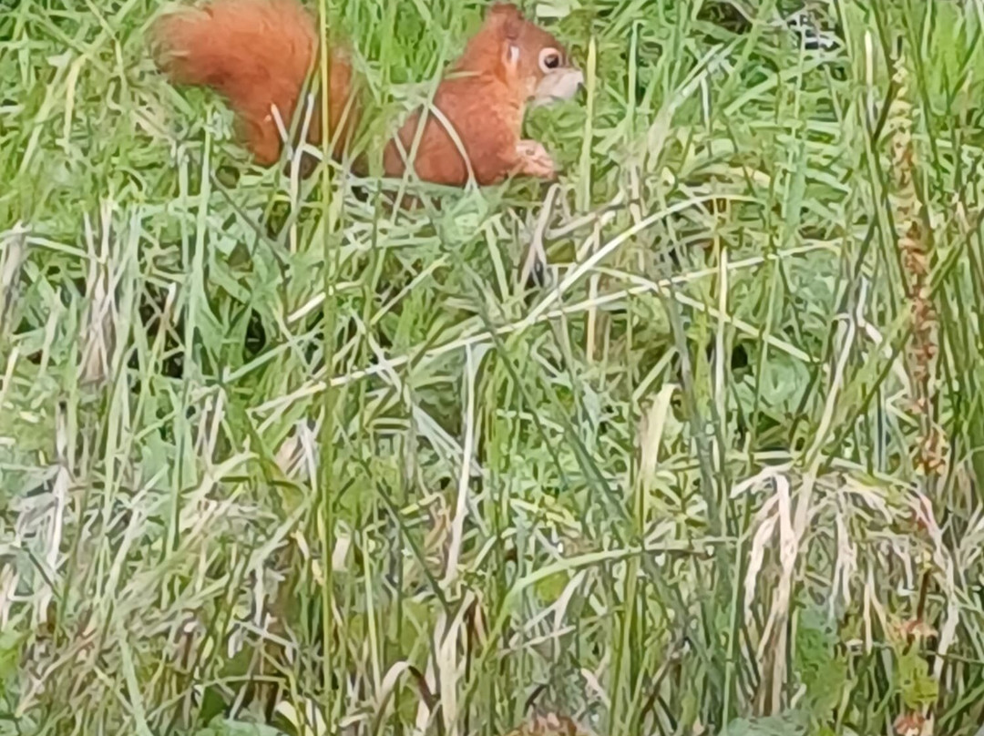 Peak Wildlife Park-Winkhill必去景点