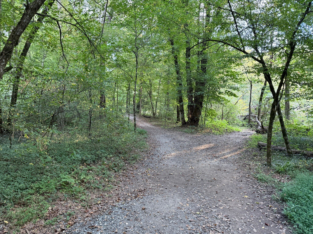 Great Smokies Inn主图