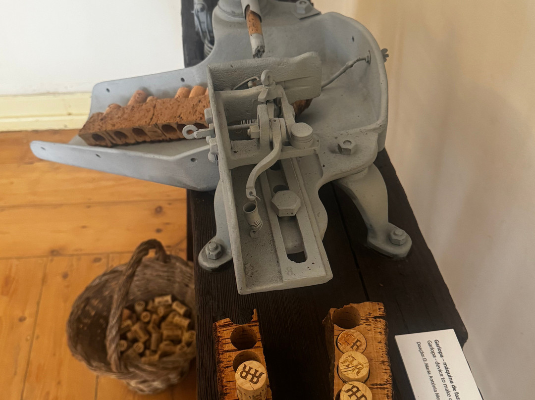 Casa do Montado-埃武拉必去景点