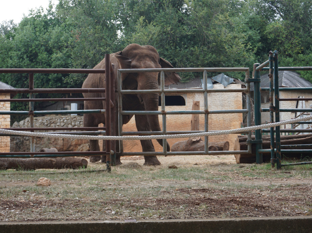Safari Park-Brijuni National Park必去景点
