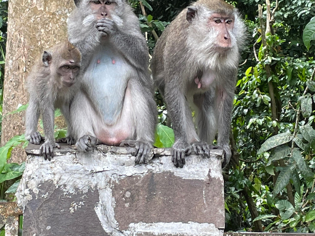 Lombok Private Tours-龙目岛必去景点