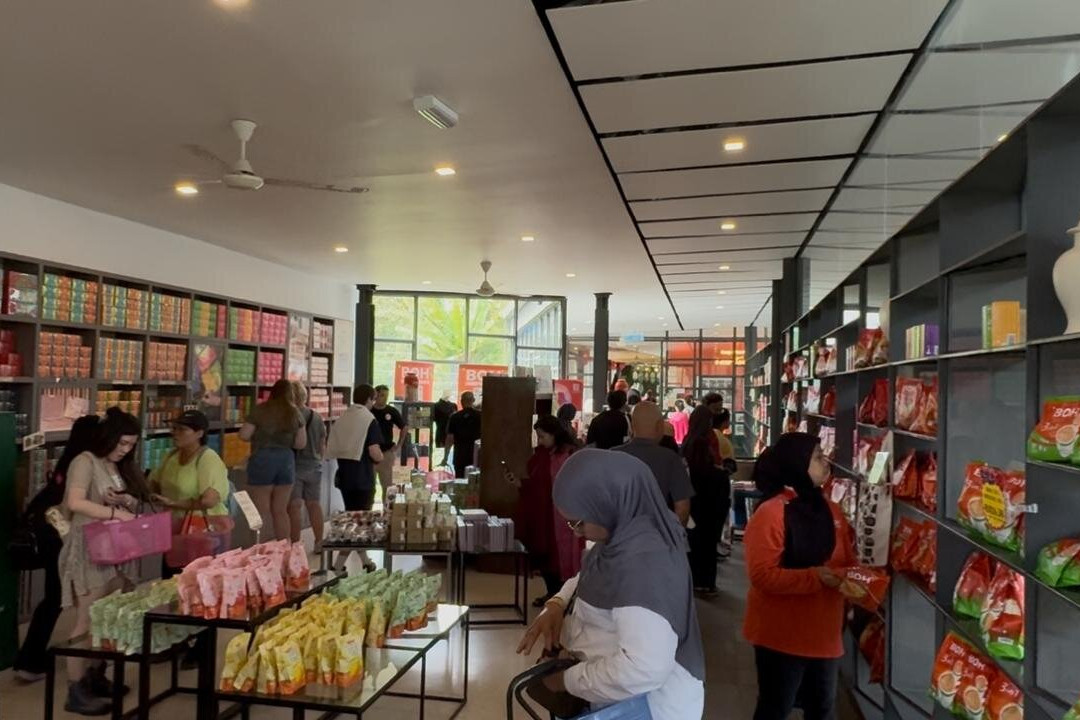 Boh Tea Estate-冷力必去景点