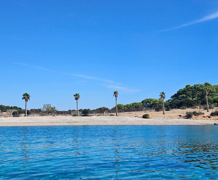 Nemo - Vis-维斯必去景点