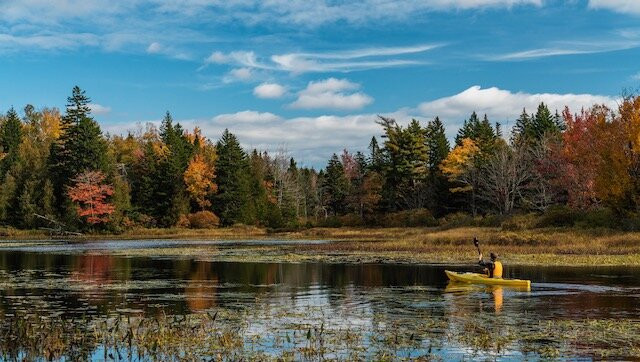 Cobscook Shores-Lubec必去景点