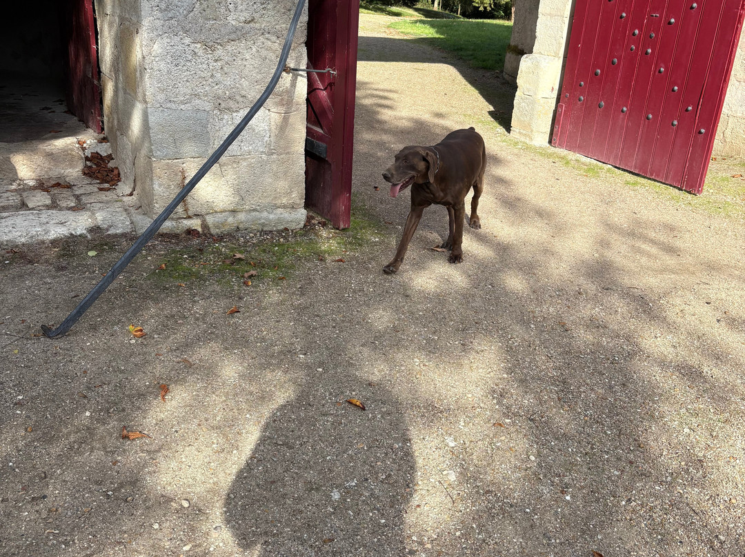 Chateau de Nitray-Athee-sur-Cher必去景点