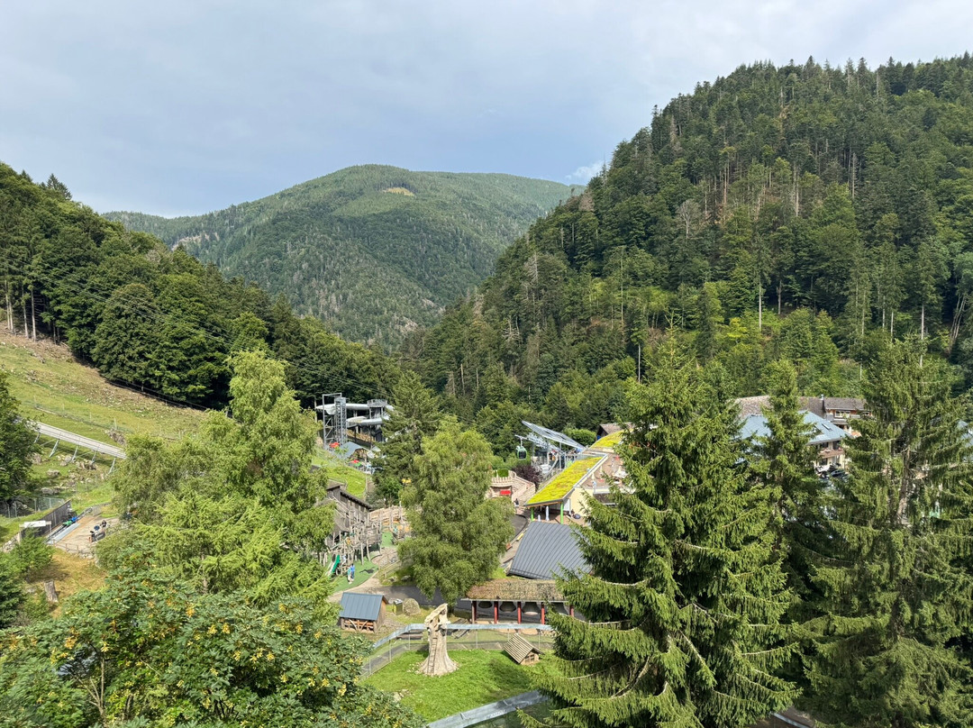 Steinwasen Park-Oberried必去景点