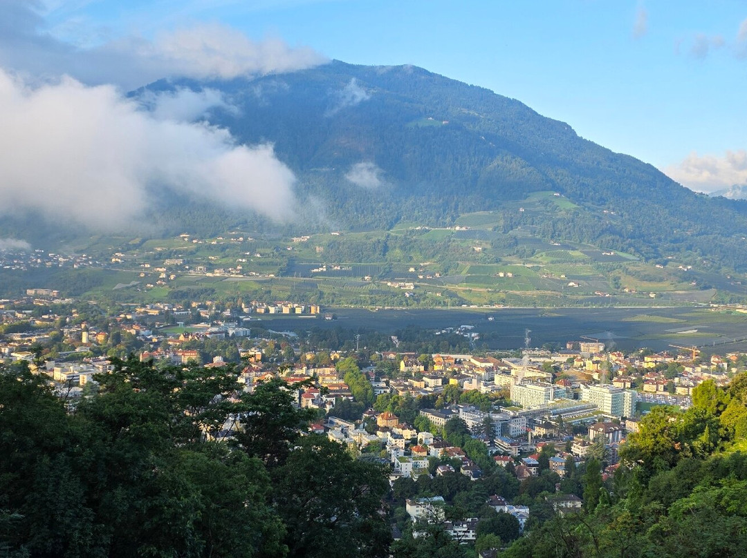 Hotel Traubenheim主图