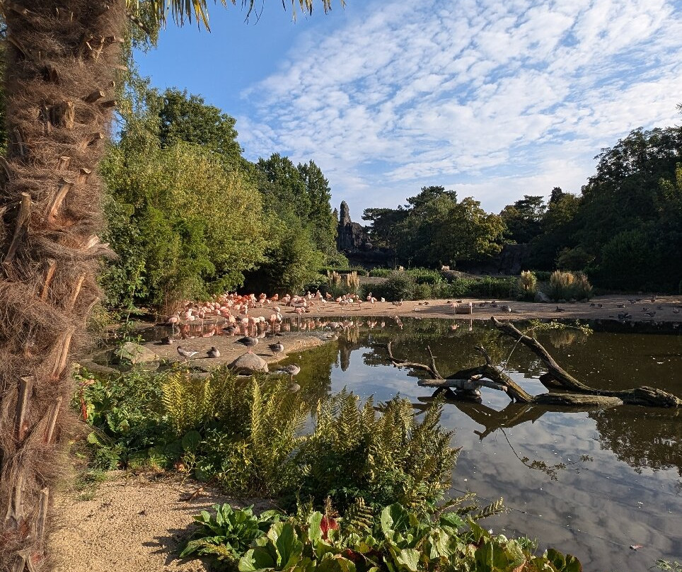 Tierpark Hagenbeck-汉堡必去景点