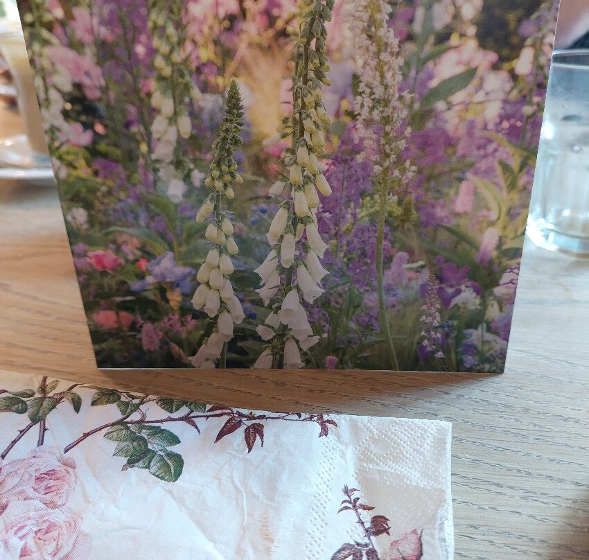 David Austin Roses-沃尔夫汉普顿必去景点