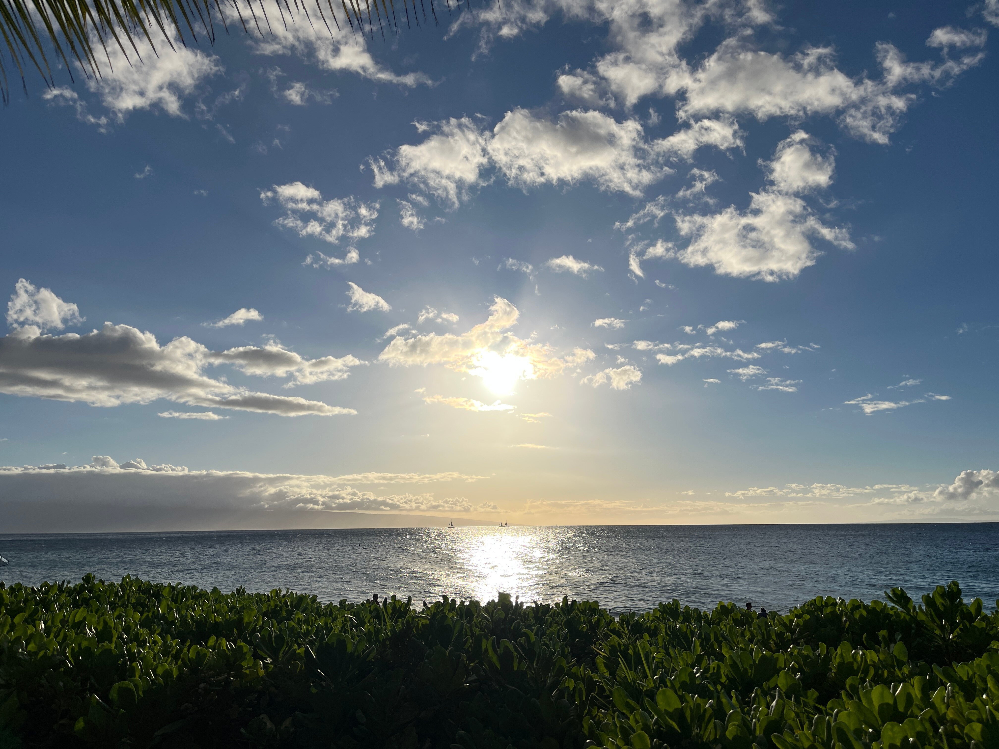 皇家拉海纳度假酒店-泳池