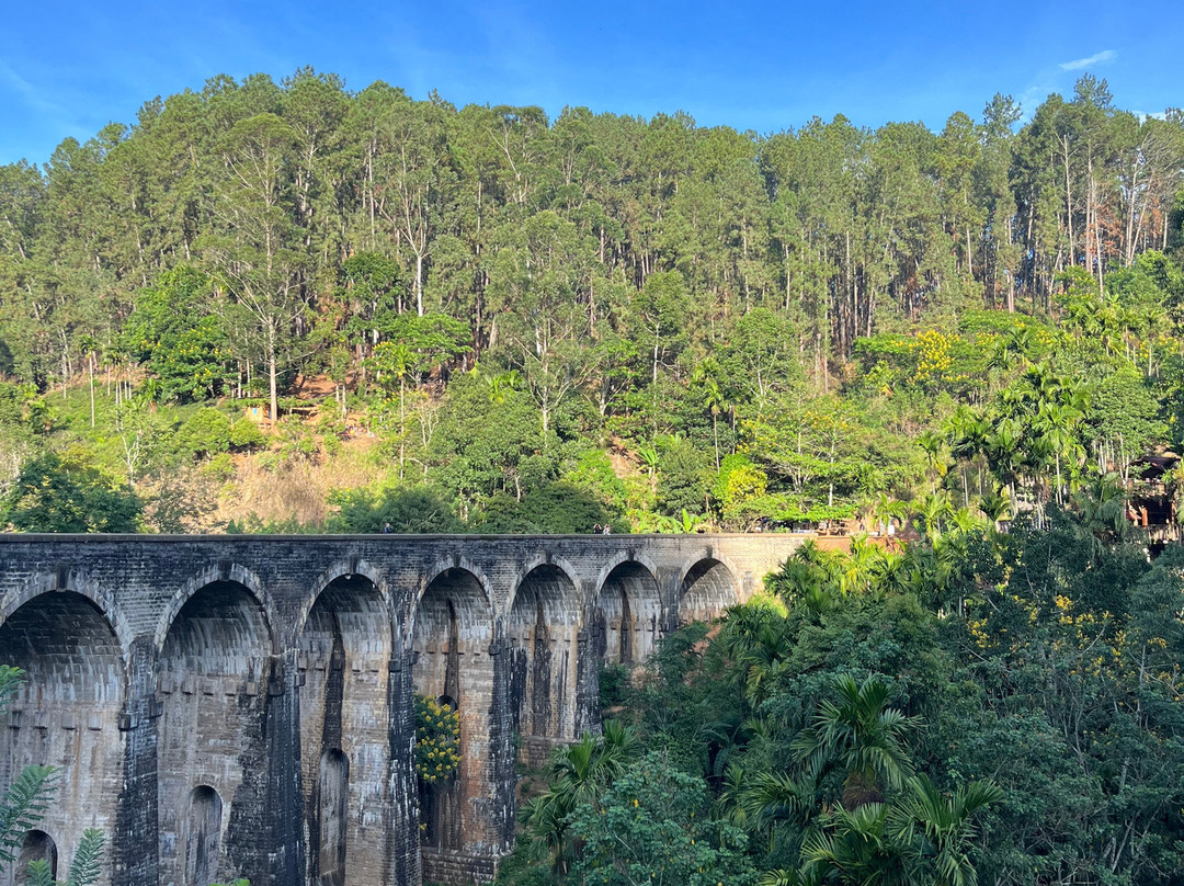 Monkey Tours Sri Lanka-加勒必去景点