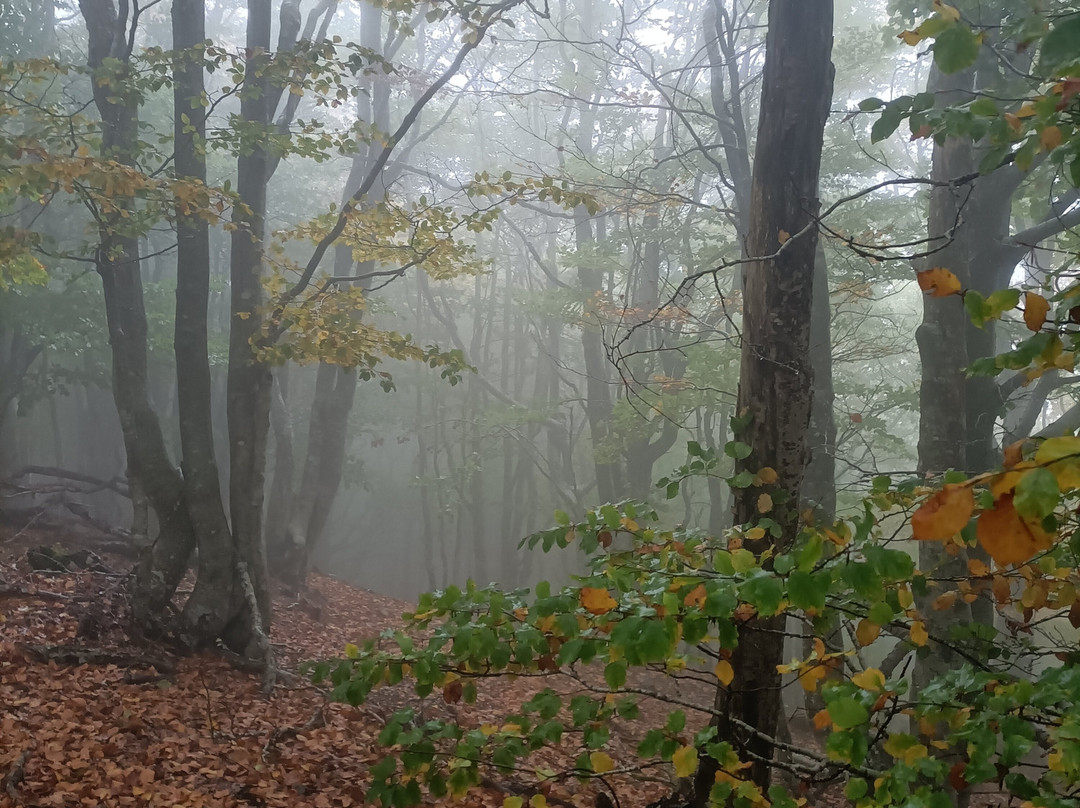 Matagalls-Montseny必去景点