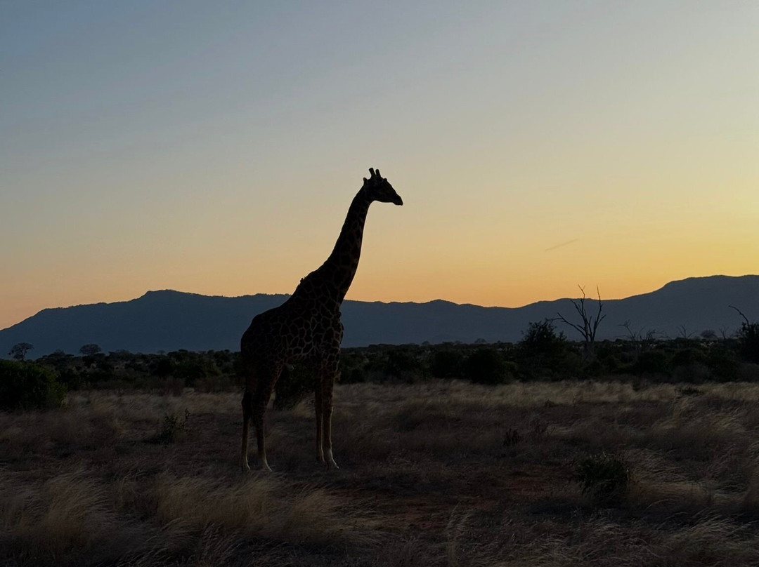 Garibaldi Safari Kenya-瓦塔木必去景点