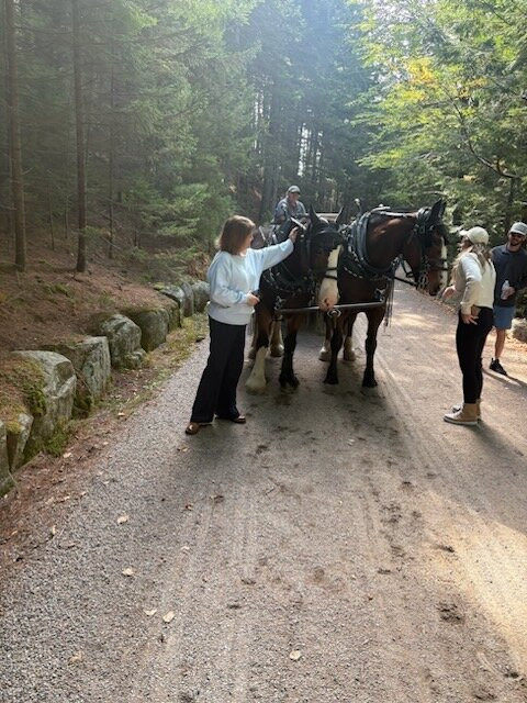 Carriages of Acadia-阿卡迪亚国家公园必去景点