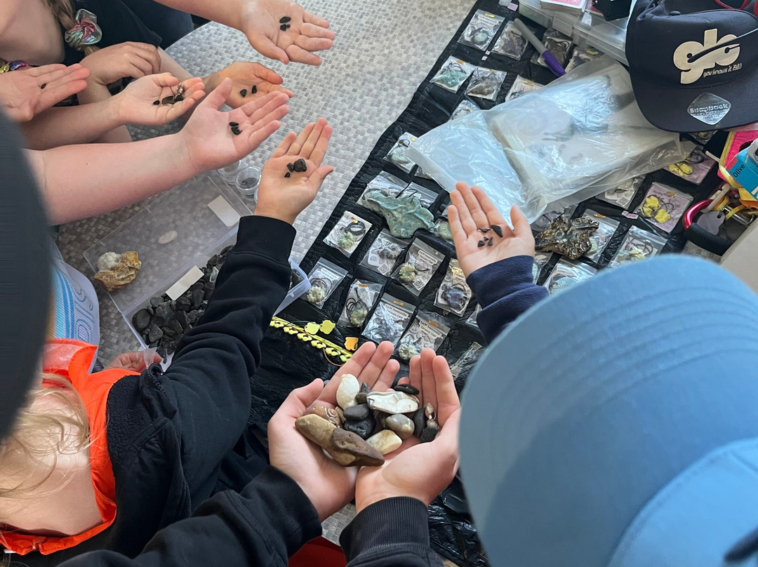 Isle of Wight Fossil Hunts - Island Gems-Godshill必去景点