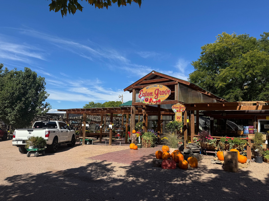 Lee Maxwell Washing Machine Museum-Hurrich必去景点