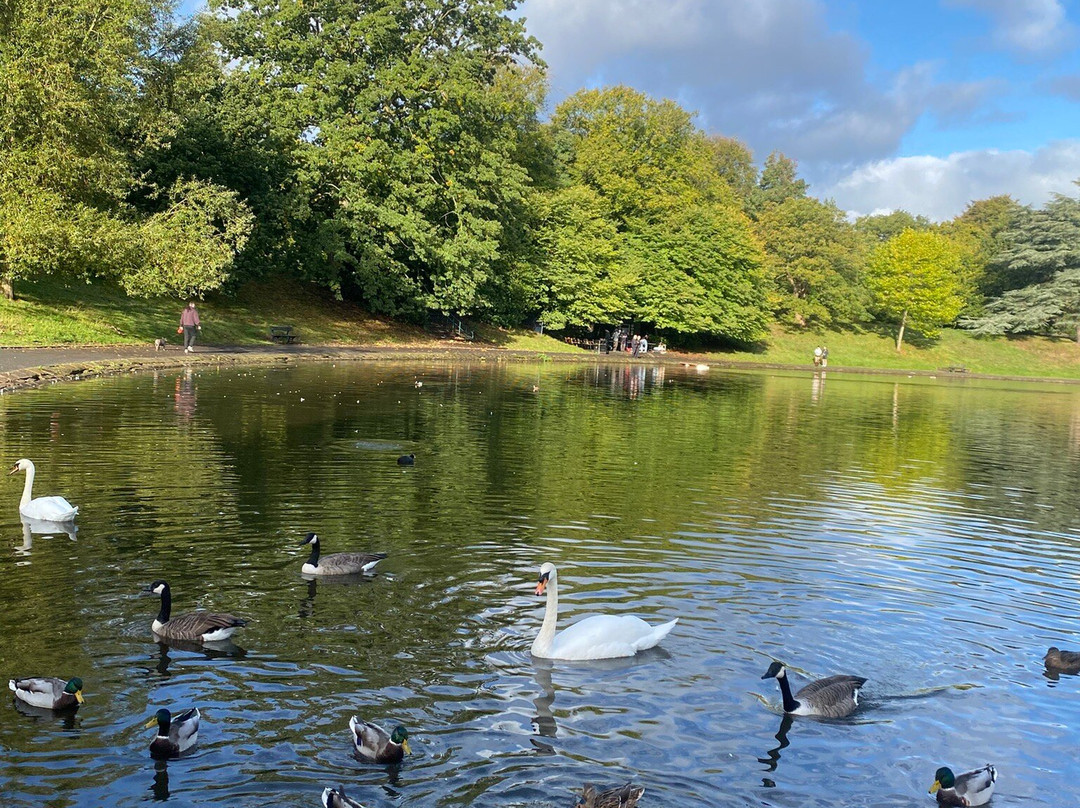 塞夫顿公园-利物浦必去景点