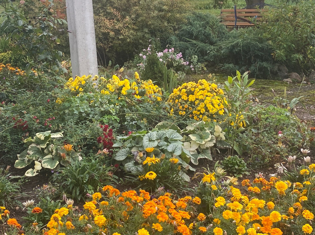 Chruch of Presentation of Mary-Vyazma必去景点