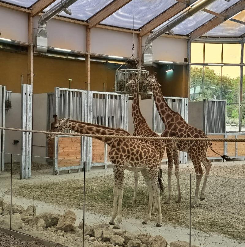 Parc Zoologique & Botanique de Mulhouse-米卢斯必去景点