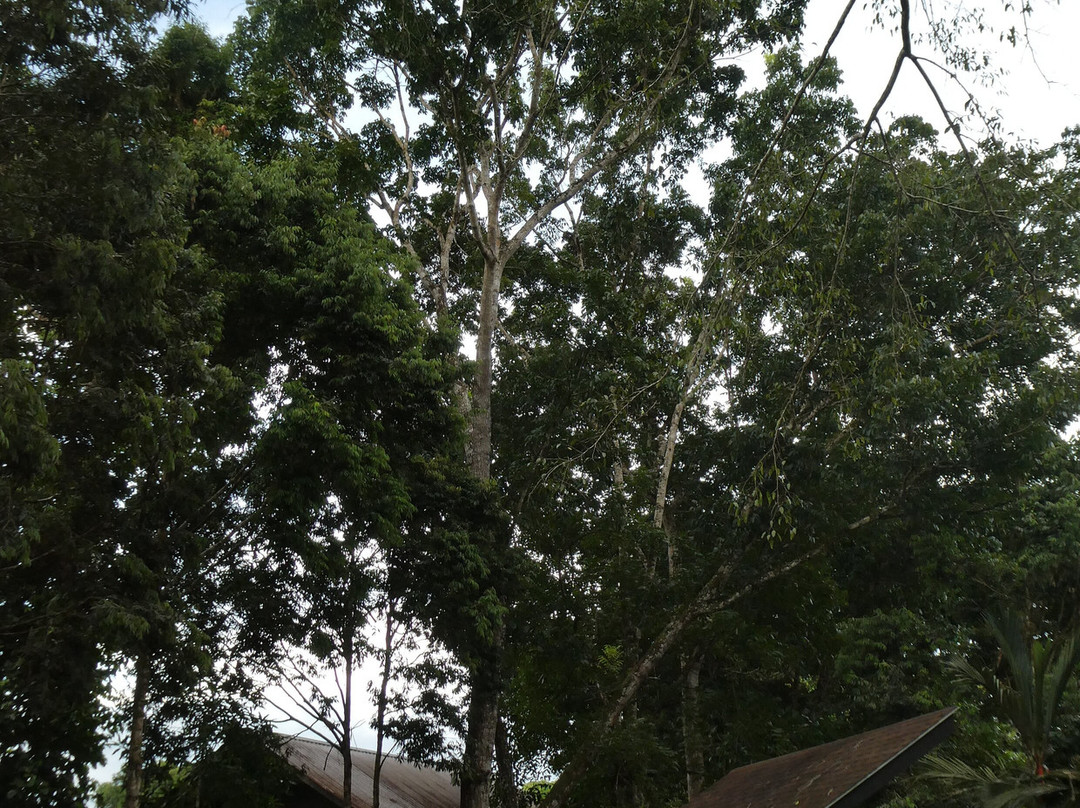 西必洛克自然度假村主图