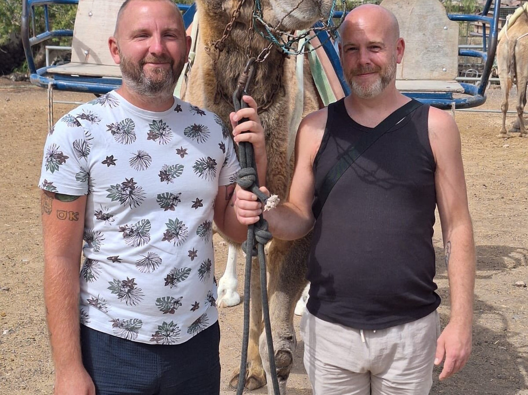 Camel Park-阿罗纳必去景点
