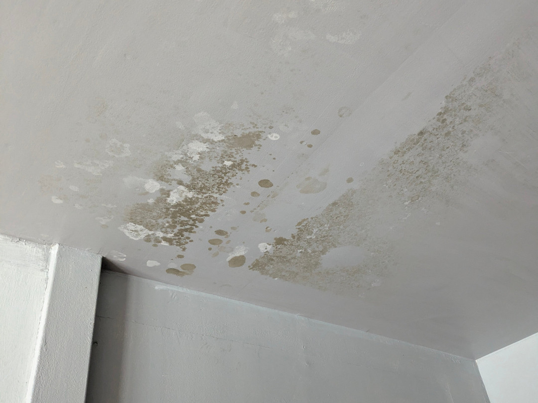 Saichol Resort主图