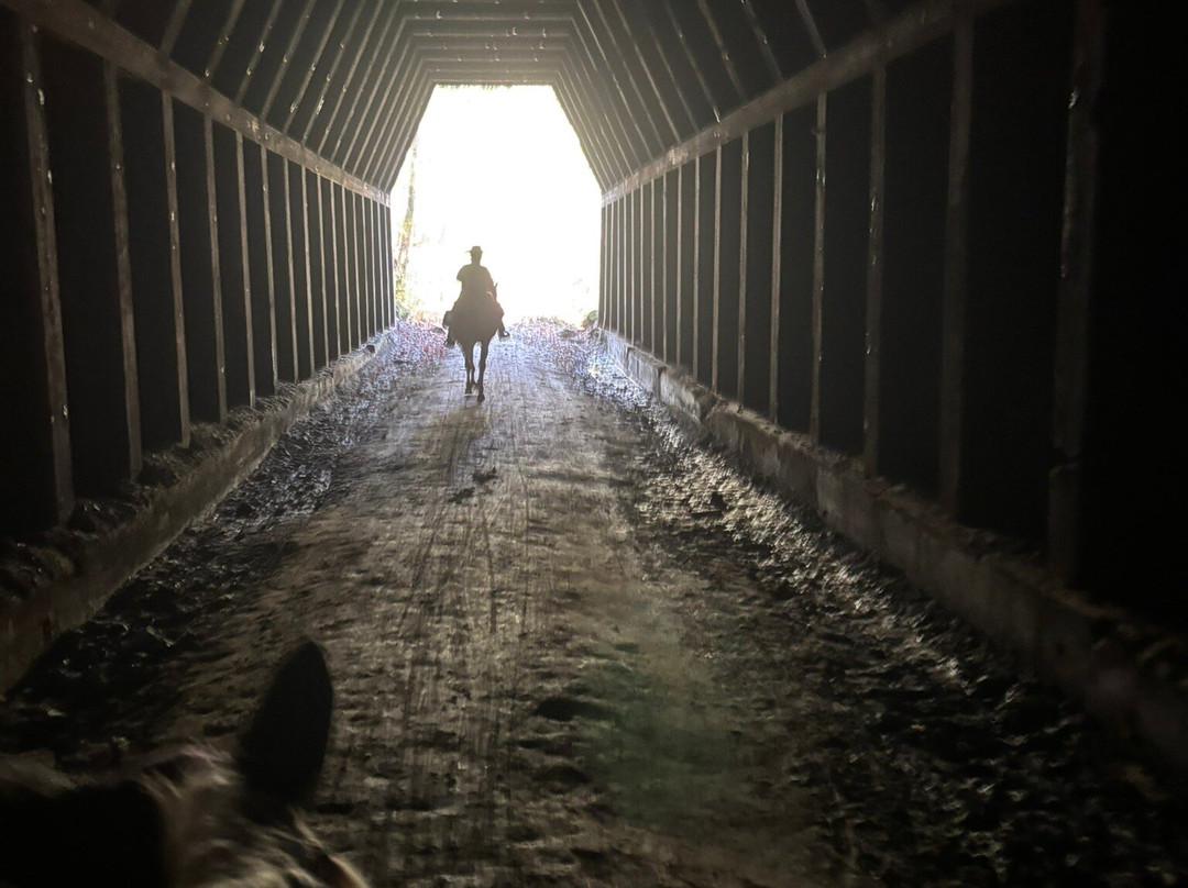 Uncle Buck's Riding Stable-New Marshfield必去景点