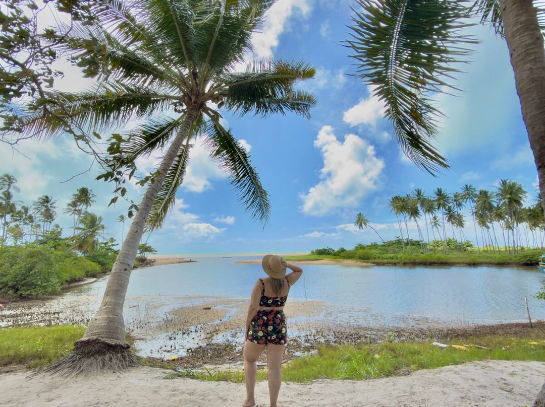 Maragogi Tour-Maragogi必去景点