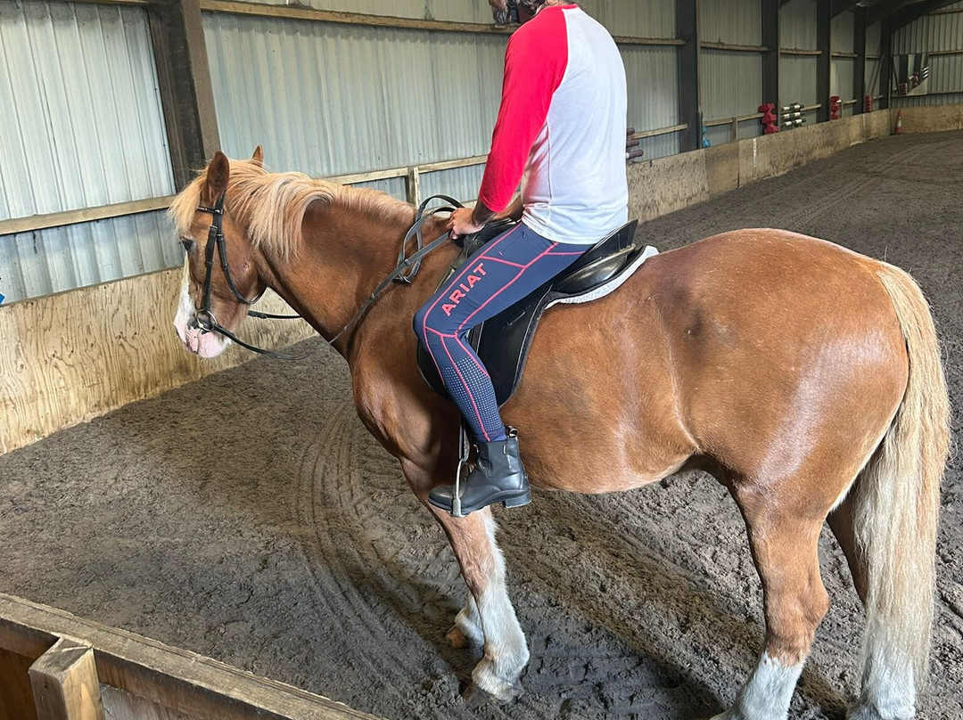 Aberconwy Equestrian Centre-Llandudno Junction必去景点