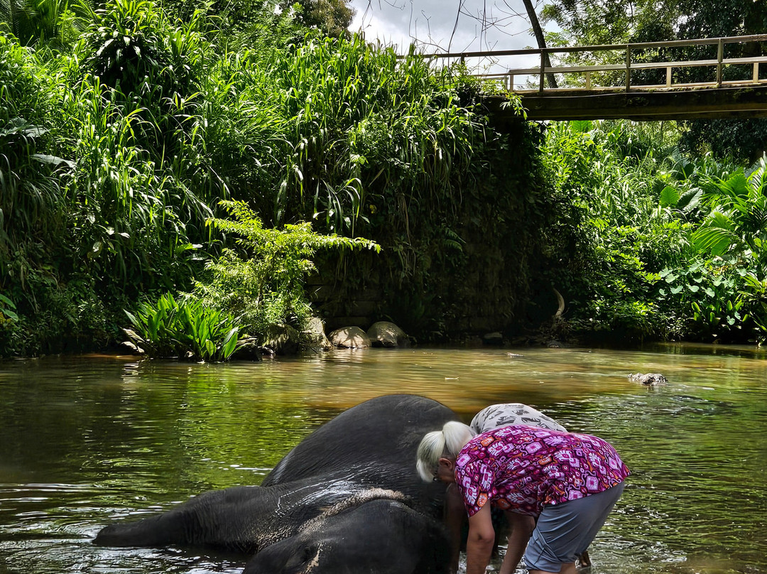 Revro Travels-科伦坡必去景点