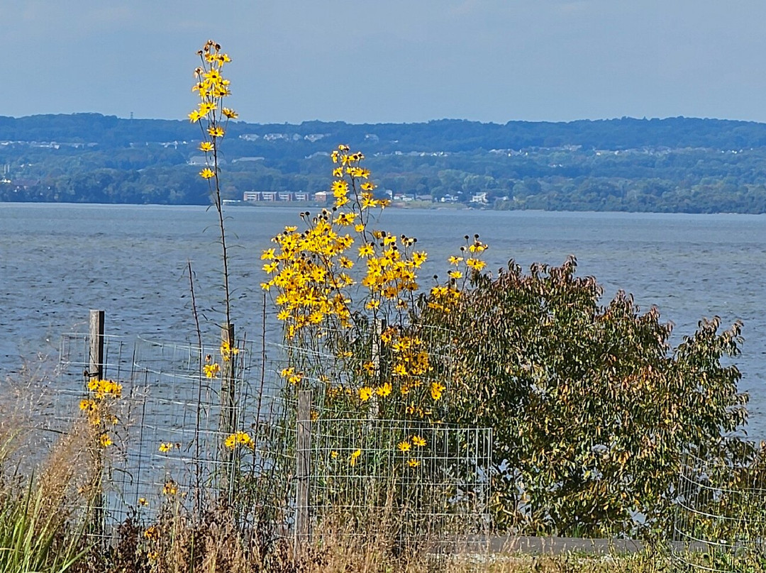 North East Beach-North East必去景点