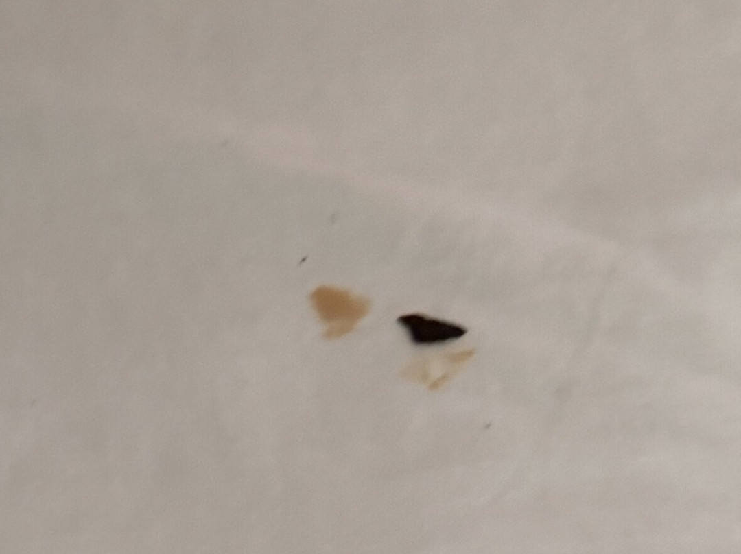 Gray Plaza West Frankfort