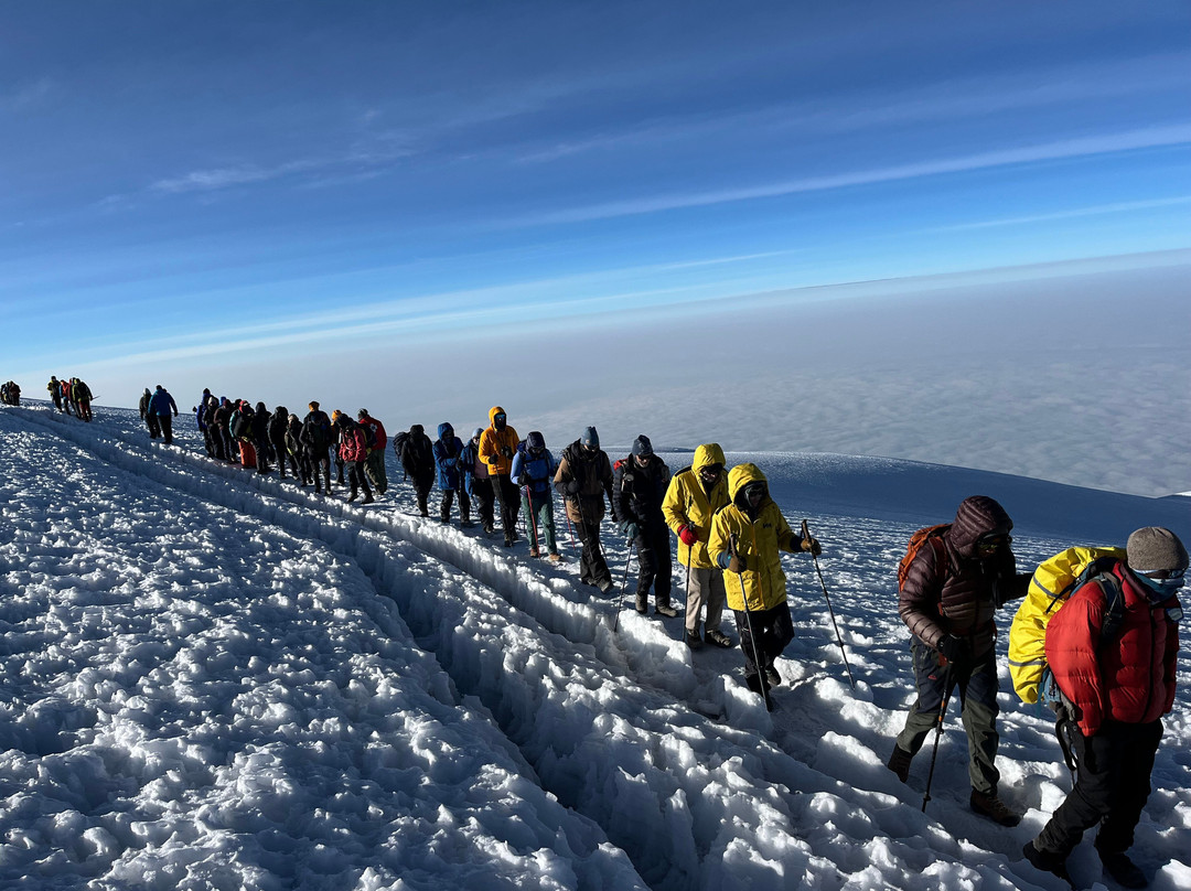 Altezza Travel-莫西必去景点