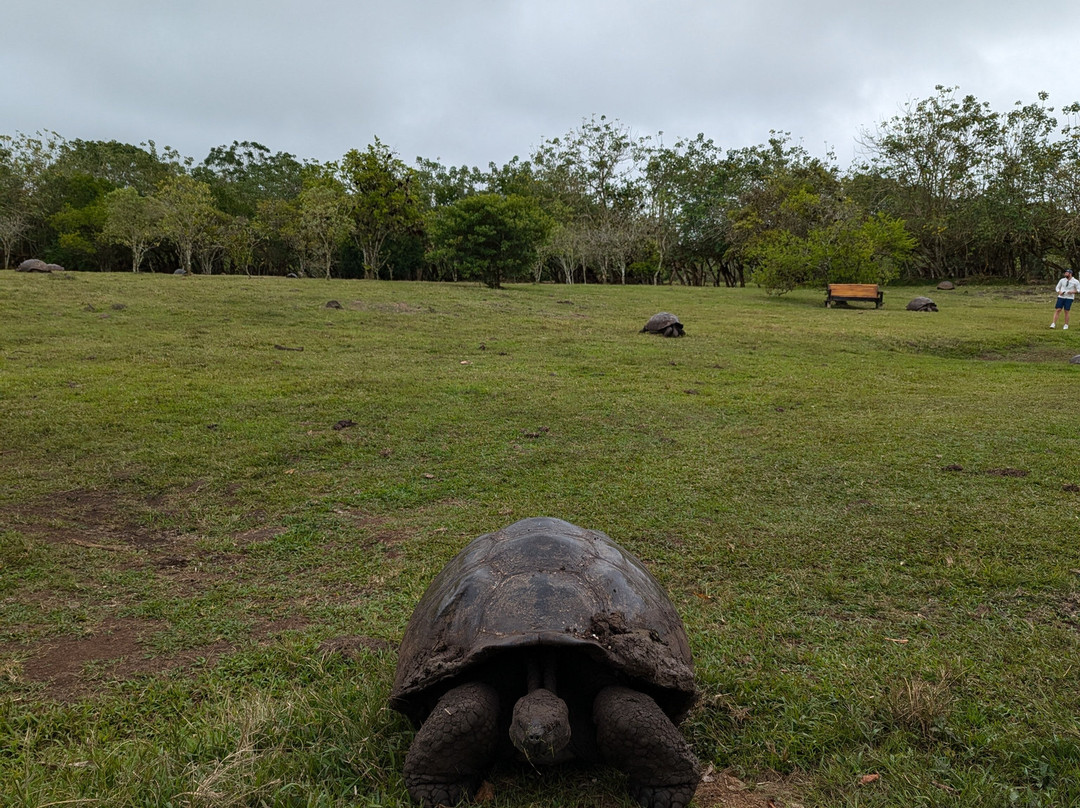 Rancho Primicias-圣克鲁斯必去景点