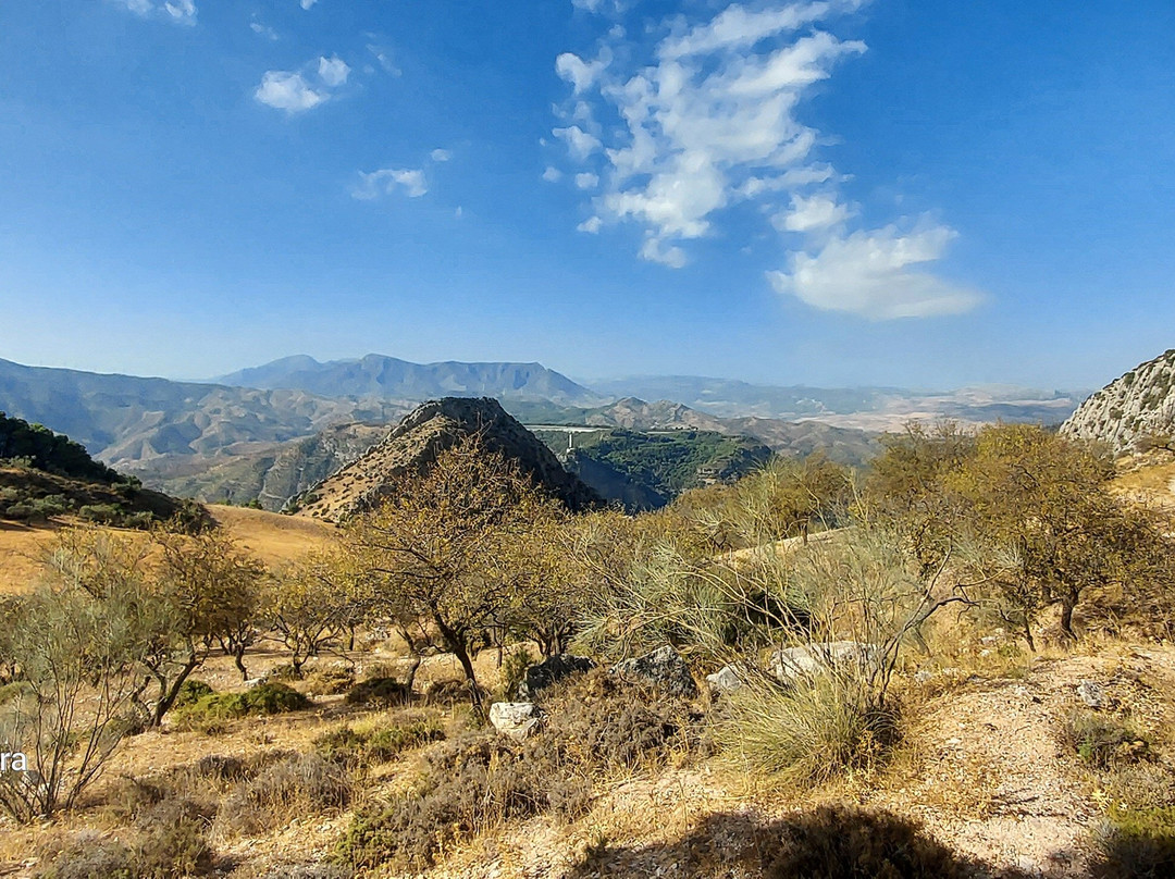Horse Riding El Chorro-El Chorro必去景点