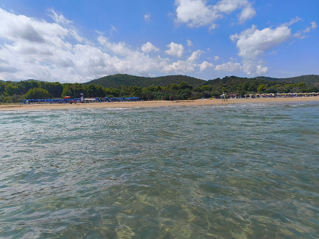 Spiaggia di Portonuovo-维耶斯泰必去景点