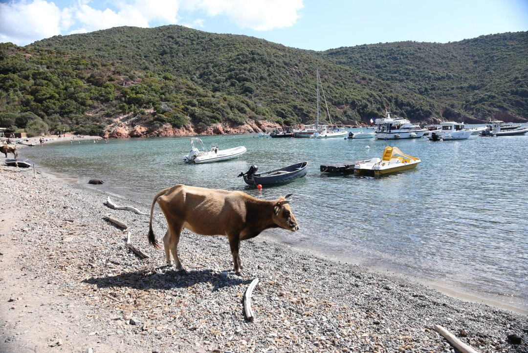 Port de Girolata-Girolata必去景点