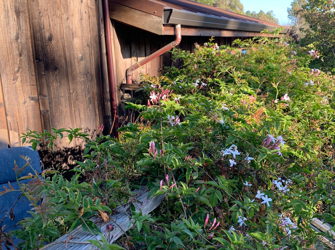 Rendezvous Mendocino主图