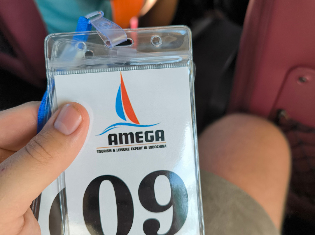 Amega Tour and general trading company limited-河内必去景点